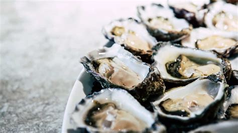 role oyster|are oysters good for you.